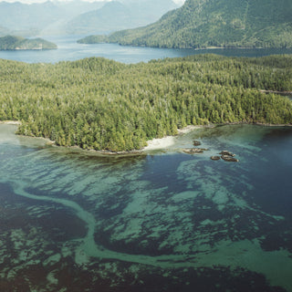 Our 2024 Tofino guide