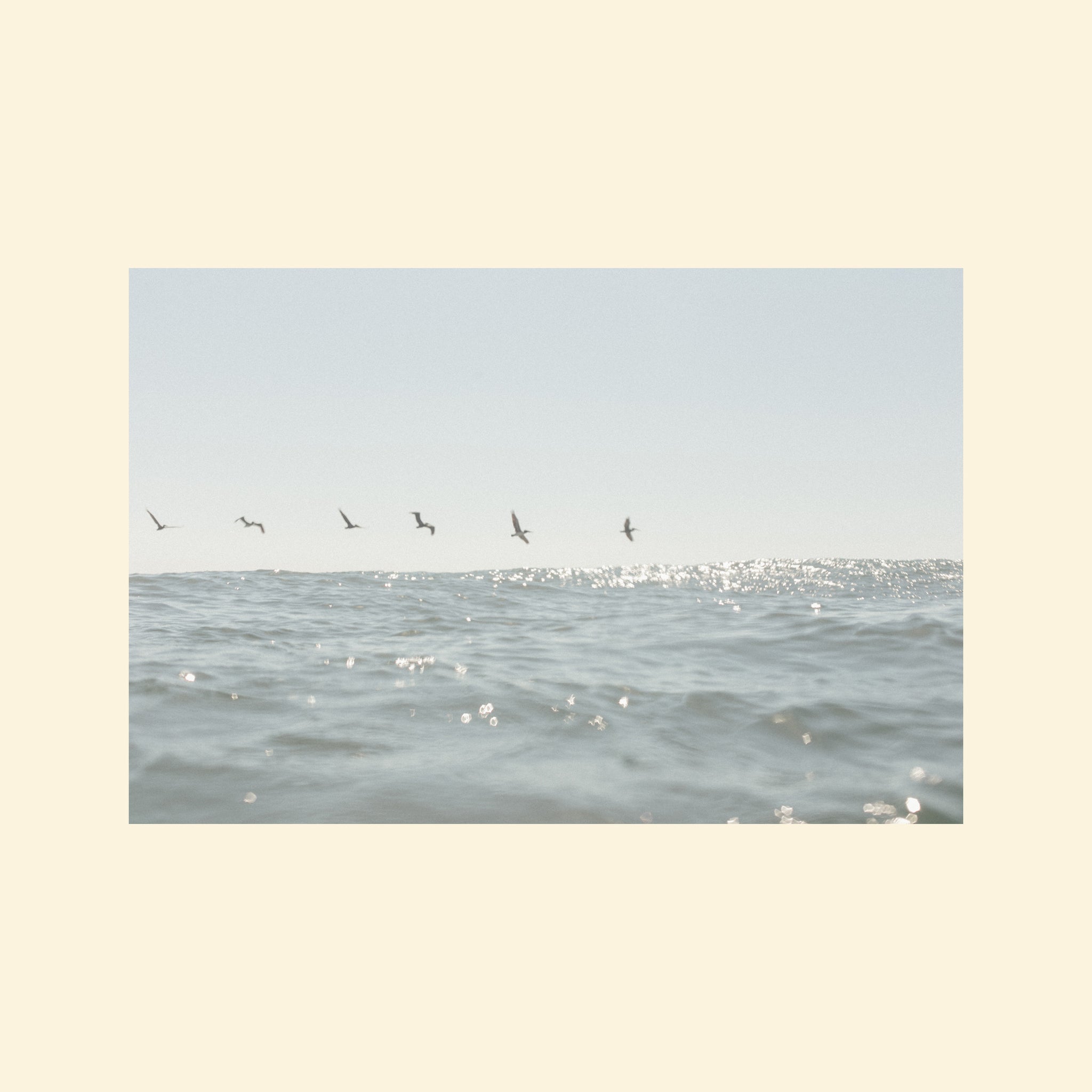 A photography print featuring shimmering light blue water and birds flying overhead. Photography by Cristina Gareau.  Edit alt text